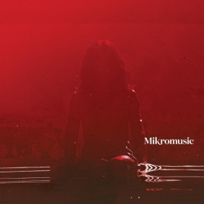 Wygraj płytę Mikromusic "Matka i żony" do godz 23:00