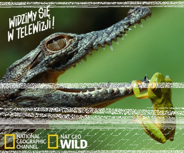 Konkurs "National Geographic Channel”