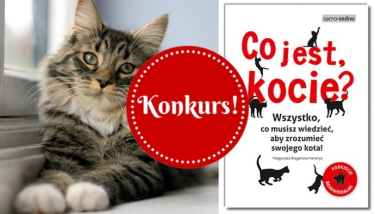 Konkurs "Co jest kocie? Poznaj kocią naturą i wygraj poradnik!"