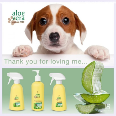 Konkurs "Fotograficzny „Noworoczne Szaleństwo”"