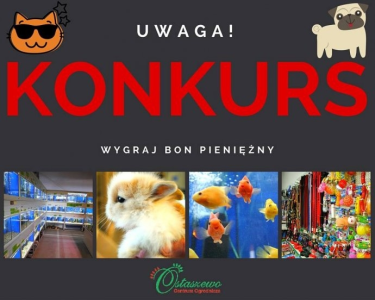 Konkurs "Noworoczny! dla miłośników zwierzaków" Ostaszewo