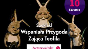 Konkurs "Poznaj przygody zająca Teofila" Wrocław (do godziny. 15:00)