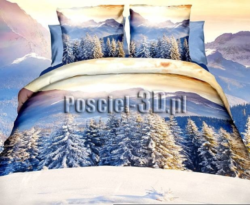 Noworoczny Konkurs "Zima"