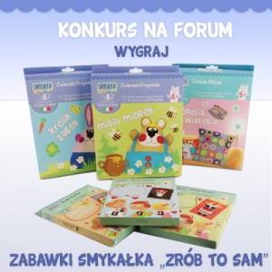 Wygraj zabawkę Smykałka "Zrób to sam"