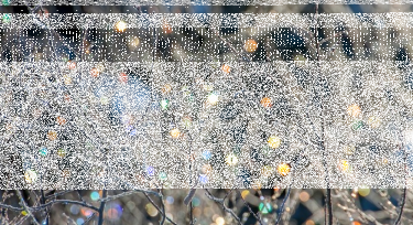 Konkurs "Cztery pory lasu"