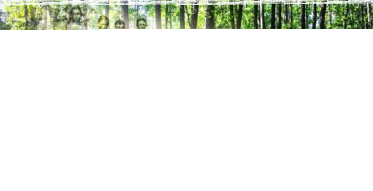 Wygraj album "Wpisani w Rospudę" Suwałki, do godz. 12:00