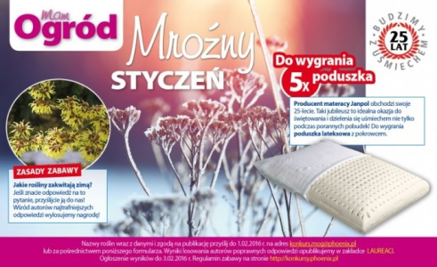 Konkurs "Mroźny styczeń"