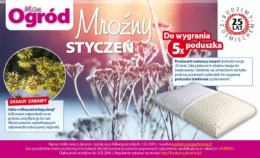 Konkurs "Mroźny styczeń"