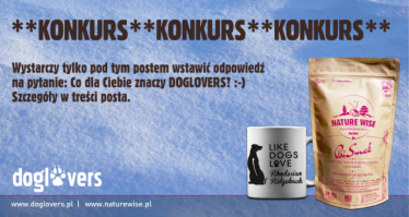 Konkurs dla miłośników psów