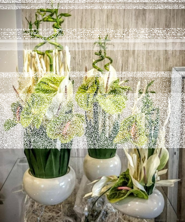 Konkurs "Niespodzianki od Lavendy" Suwałki, do godz. 12:00