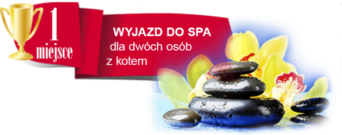 Konkurs "Kot model" Intermarche