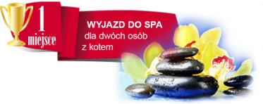 Konkurs "Kot model" Intermarche