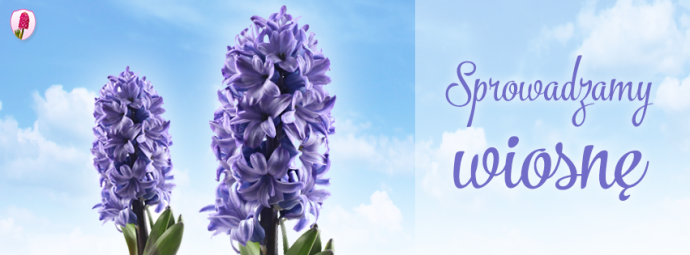 Konkurs "Poczta Kwiatowa® sprowadza wiosnę – edycja V"