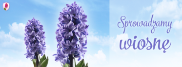Konkurs "Poczta Kwiatowa® sprowadza wiosnę – edycja V"