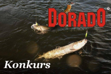 Konkurs "Dorado"