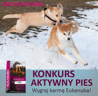 Konkurs fotograficzny "Aktywne psy"