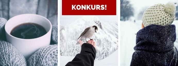 Konkurs "Wspomnienia z zimy"
