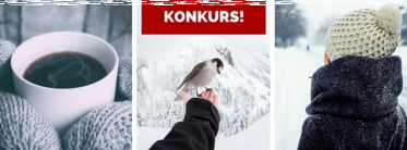 Konkurs "Wspomnienia z zimy"