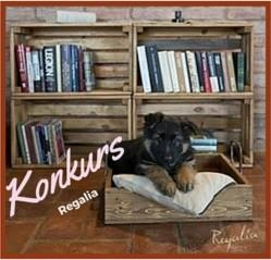 Prosty konkurs producenta ekskluzywnych mebli ze Starego Drewna