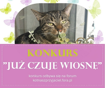 Konkurs fotograficzny "Już czuję wiosnę"