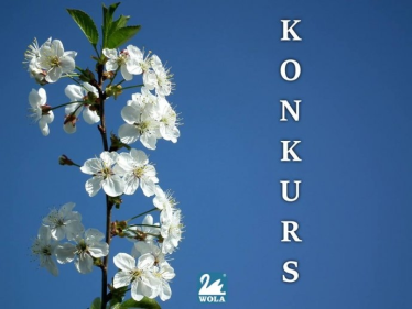 Konkurs fotograficzny "Wielkanoc" do godz. 12:00