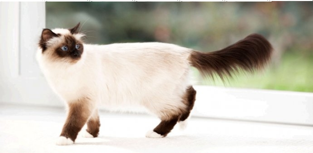 Konkurs "3-tygodniowe wyzwanie"