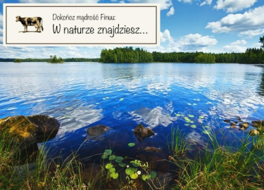 Konkurs "Dokończ mądrość Finuu"