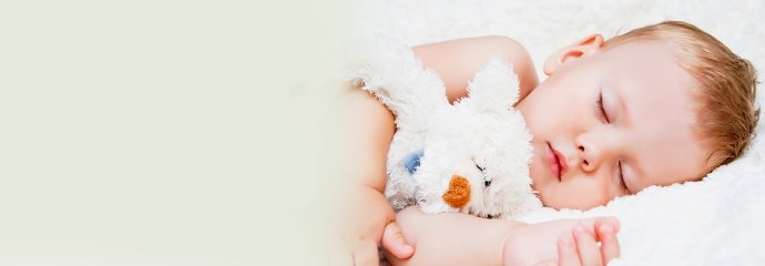 Bobovita konkurs na zdjęcie miesiąca