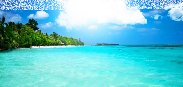 Konkurs "Dogoń lato"