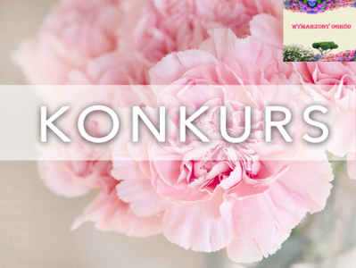 Konkurs: wygraj Rhododendron Germania