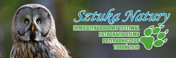 Ogólnopolski konkurs pokazów cyfrowych