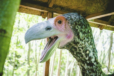 Wygraj zaproszenie do Zatorlandu, Ruda Śląska