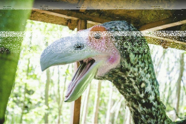 Wygraj zaproszenie do Zatorlandu, Ruda Śląska