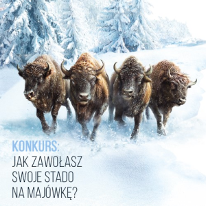 Konkurs "Żubrówka - Zwołaj stado na majówkę" 18+