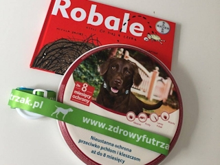 Konkurs "Bezpieczny Futrzak" do godz. 20:00