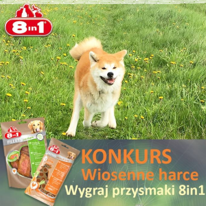 Konkurs fotograficzny "Wiosenne harce Twojego psa"