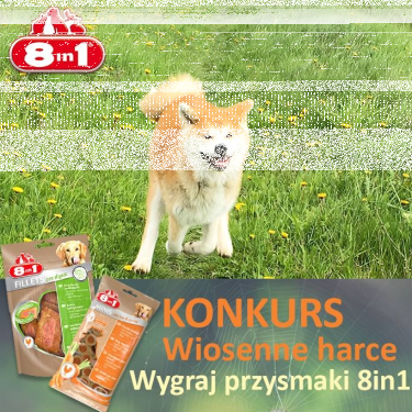 Konkurs fotograficzny "Wiosenne harce Twojego psa"