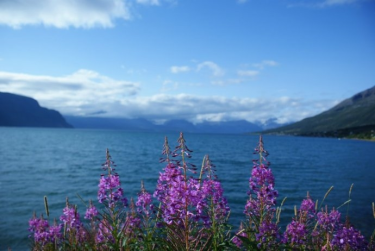 Konkurs "Wiosna w obiektywie"