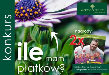 Konkurs "Ile mam płatków?"