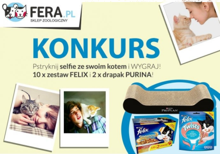 Konkurs "Kociarze i Kociary"