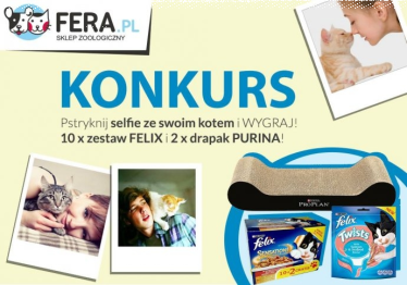 Konkurs "Kociarze i Kociary"