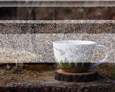 Konkurs "Czy pasja może być sposobem na życie?"