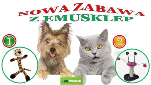 Konkurs "Wygraj zabawkę dla swojego psa"