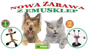 Konkurs "Wygraj zabawkę dla swojego psa"