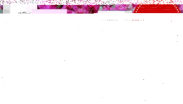 Konkurs "Dzień Matki z L`bioticą"