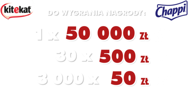 Konkurs "Apetyt na kase"