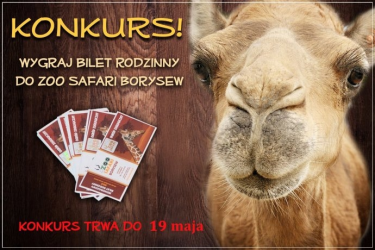 Konkurs dla fanów ZOO SAFARI w BORYSEWIE