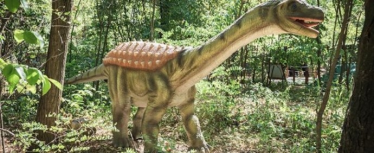 Konkurs "Odbierz bilety do Zatorlandu Parku Rozrywki"