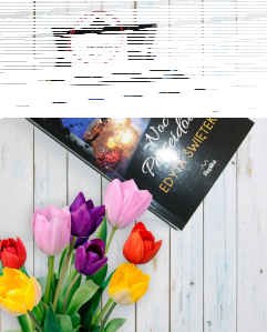 Konkurs z powieścią #NocPerseidów