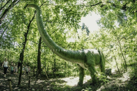 Wygraj zaproszenie do Zatorlandu, Ruda Śląśak